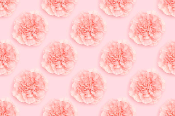 istock Pattern made of carnation flower on a pink background. 1620761496