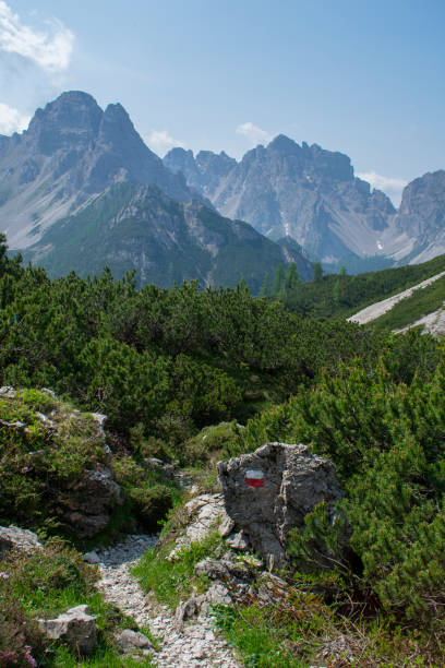 Forni di Sopra, Friulian Dolomites, Truoi dai Sclops - Sentiero delle Genziane stock photo