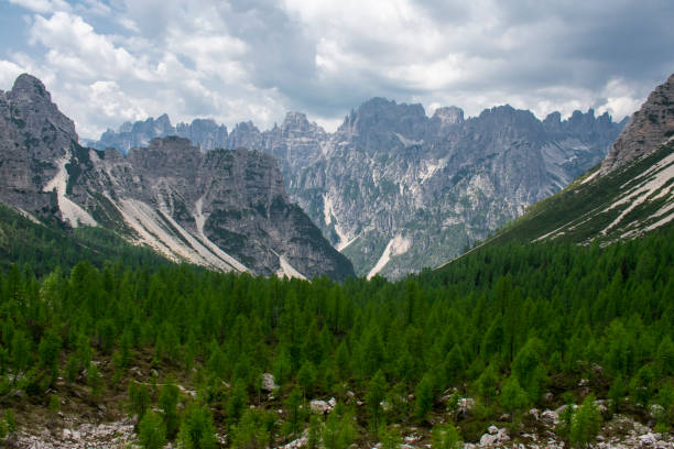 Forni di Sopra, Friulian Dolomites, Truoi dai Sclops - Sentiero delle Genziane stock photo