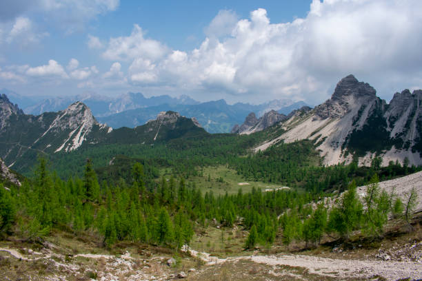 Forni di Sopra, Friulian Dolomites, Truoi dai Sclops - Sentiero delle Genziane stock photo