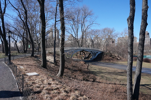 Bridge at Central park, New York city