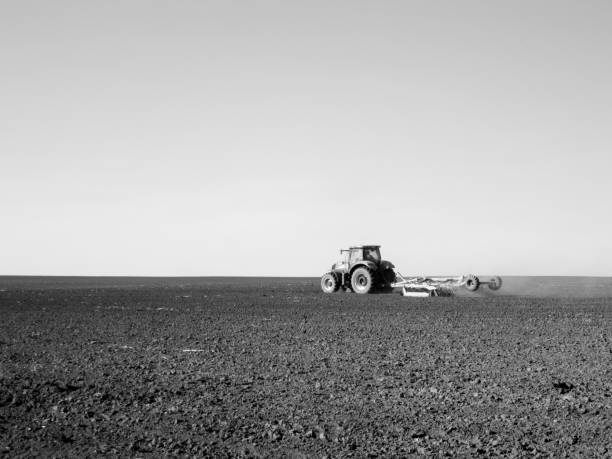 istock Plowed field by tractor in black soil on open countryside nature 1620784863