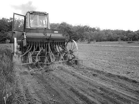 Tractor plowing lavender field in spring, Provence, France