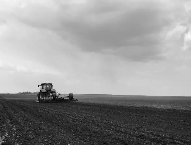 istock Plowed field by tractor in black soil on open countryside nature 1620788762