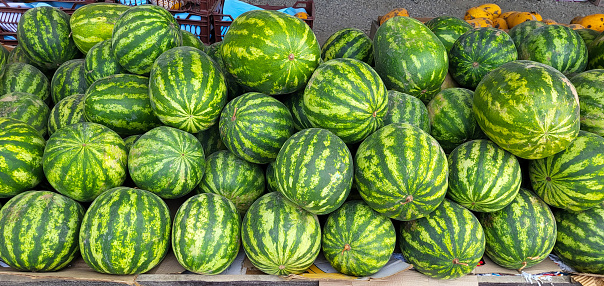 Watermelons sold in the market