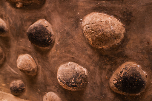 stones that adorn the walls of the fish pond