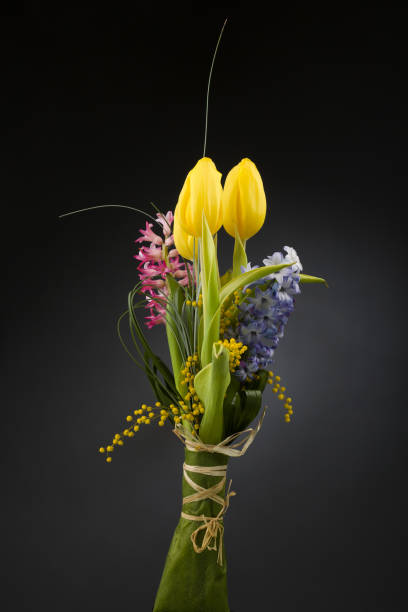 istock Spring tulips, hyacinth over black  background 1620856726