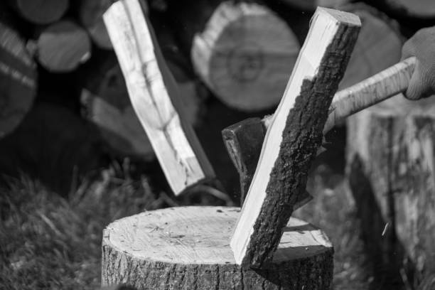 Close up woodpiles. 