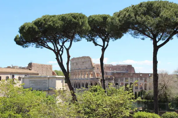 Photo of Italy in the Spring