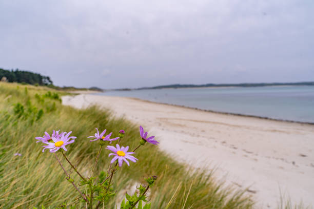 Tresco Island in The Isles of Scilly in Cornwall, UK.
