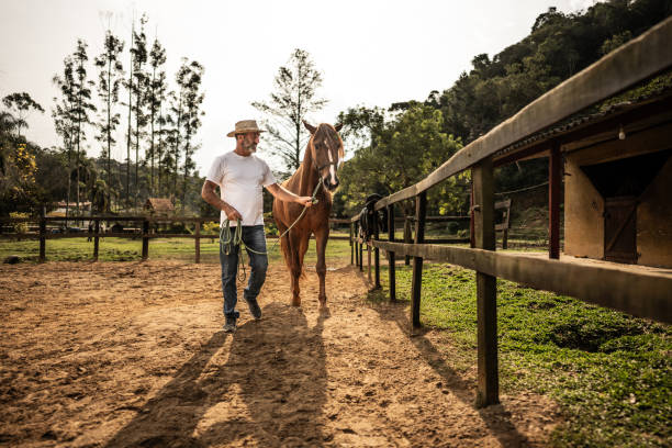 istock Mature man walking with his horse on a ranch 1620875008