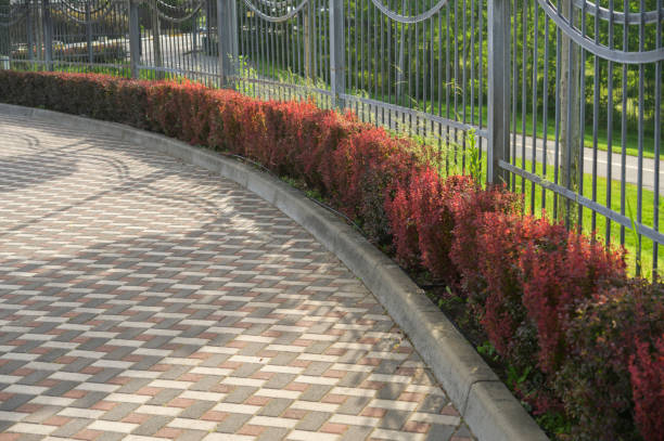 istock colored stone pavers, street tiles with patterns and ornaments, pedestrian path 1620877219