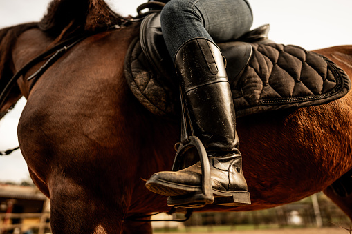 Low section of a woman horse riding on a ranch