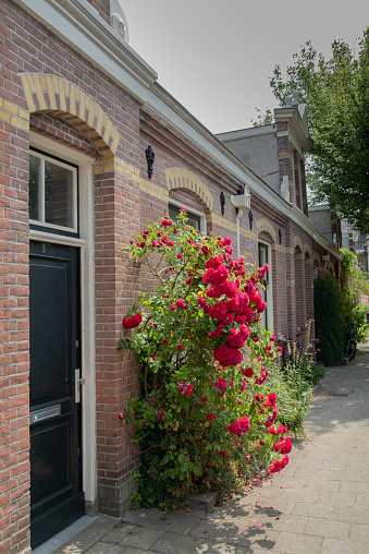 old brick house with a bush of roses near the door