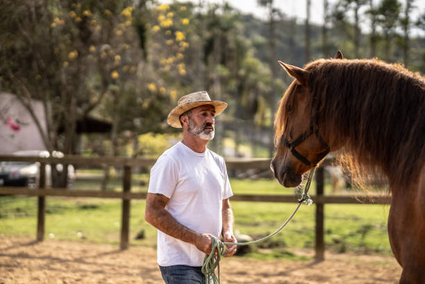 istock Mature man holding his horse on a stable 1620884448