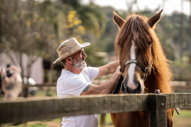 istock Mature man putting the saddle on his horse on a stable 1620885487