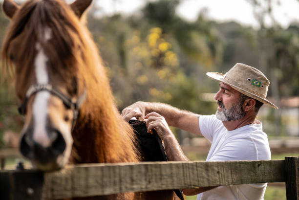 istock Mature man putting the saddle on his horse on a stable 1620885507
