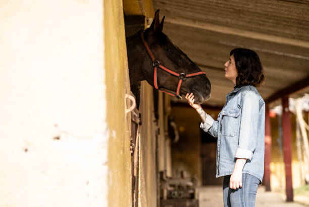 istock Young woman petting her horse on a stable 1620885516