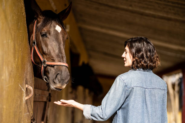 istock Young woman petting her horse on a stable 1620885530