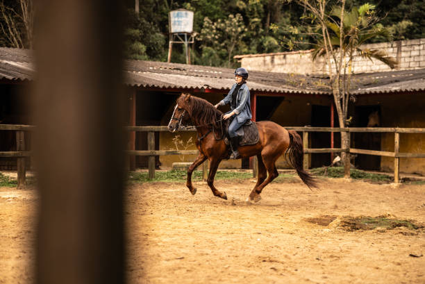 istock Young woman horseback riding on a stable 1620886219