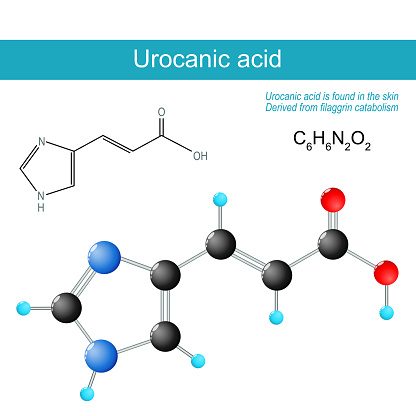 Urocanic acid molecule. molecular chemical structural formula and model product of catabolism of L-histidine. Urocanic acid is found in the skin, and derived from filaggrin catabolism. Natural moisturizing factor. Vector illustration