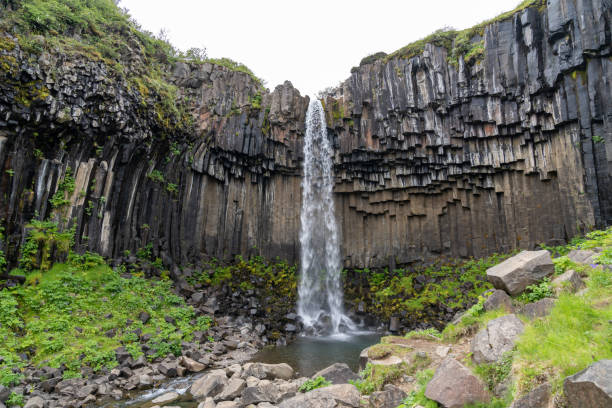 istock Svartifoss Waterfall in Skaftafell National Park with its famous black basalt columns, Iceland 1620896272