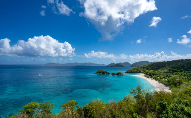 trunk bay en la isla tropical caribeña de st. john en las islas vírgenes de los estados unidos - us virgin islands fotografías e imágenes de stock