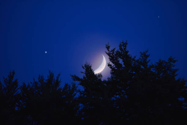 istock Waxing crescent Moon, planets and stars rising behind tree silhouettes. 1620914393