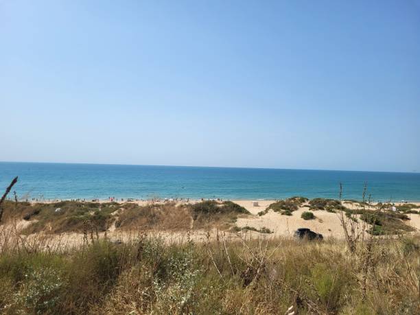 istock The coast of the sea. 1620916779