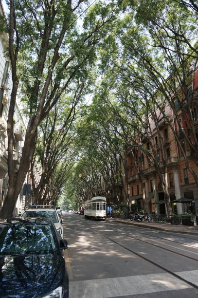 istock Tram at Milan, Italy 1620925651