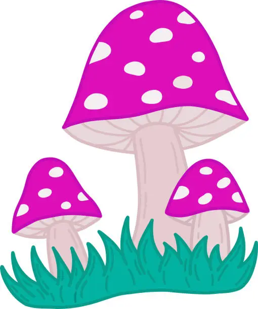 Vector illustration of A set of fly agarics. A red poisonous mushroom highlighted on a white background. Vector illustration, colorful cartoon design