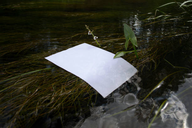 istock Mockup of a poster in a river with algae. White blank with copy space in water 1620939579