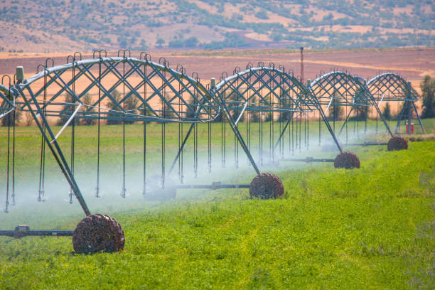 istock An irrigation pivot watering a field 1620942906