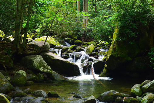 Small rocky waterfall in the Great Smoky Mountains National Park