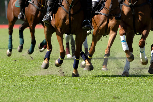 istock Horses Polo Run In The Game. 1620967133