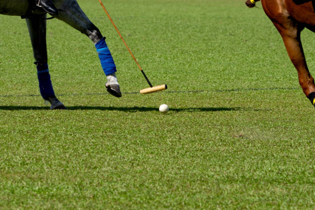 istock Horses Polo Run In The Game. 1620967141