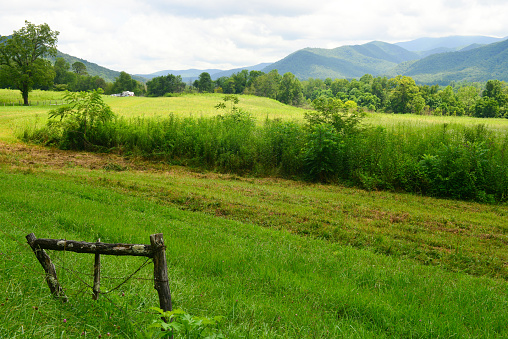 View of a meadow and mountain range at the Great Smoky Mountains National Park from Cades Cove