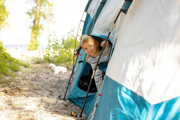 Happy family, three kids, boy brothers and a dog,playing around pitched tent on the beach, while wild camping in Norway, summertime