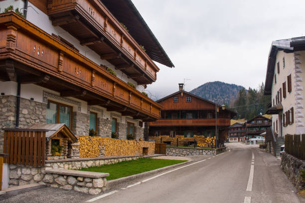 istock Cima Sappada in North East Italy 1621022235