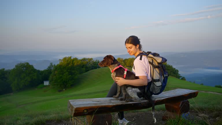 SLO MO Female Hiker Sitting with Dog on Wooden Bench Stroking and Pointing on Grassy Mountain