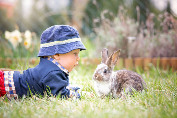 庭園、小さなウサギと遊ぶ子供に甘い幼児少年春 - single lane road footpath flower formal garden ストックフォトと画像