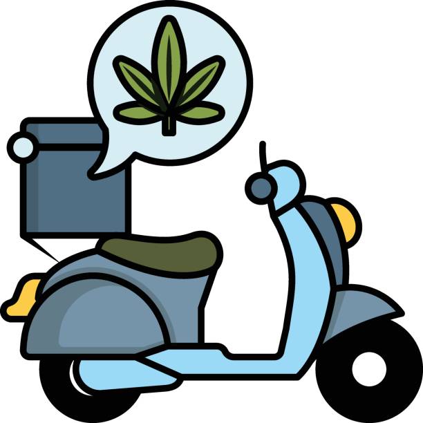 Herbs Delivery on Scooter concept, Delivering weed on Bike vector icon design, Cannabis and marijuana symbol, thc and cbd sign, recreational herbal drug stock illustration Herbs Delivery on Scooter concept, Delivering weed on Bike vector icon design, Cannabis and marijuana symbol, thc and cbd sign, recreational herbal drug stock illustration dioecious stock illustrations