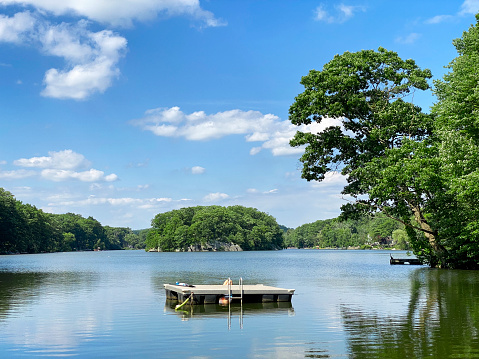 Beautiful lake view in summer