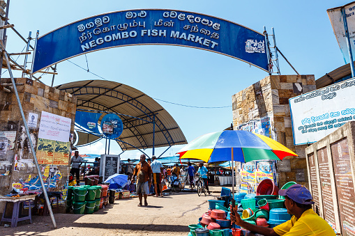 Fish market in Negombo, Sri Lanka, Asia