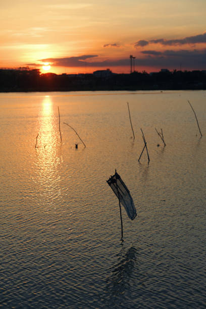Fish traps in the lake with sunset