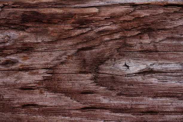 Beautiful wood grain. Wood background. Wood grain pattern texture background