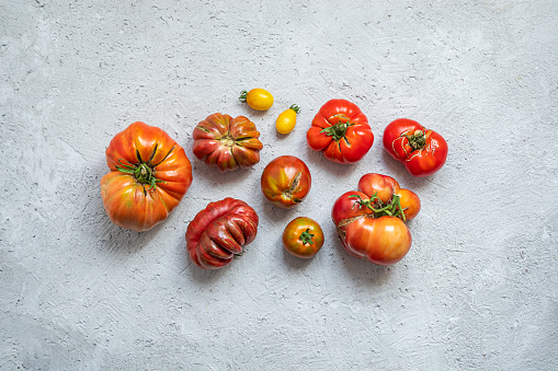 Ugly organic untreated tomatoes on the gray background. Food waste concept