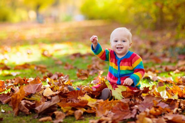 istock Child in fall park. Kid with autumn leaves. 1621159010