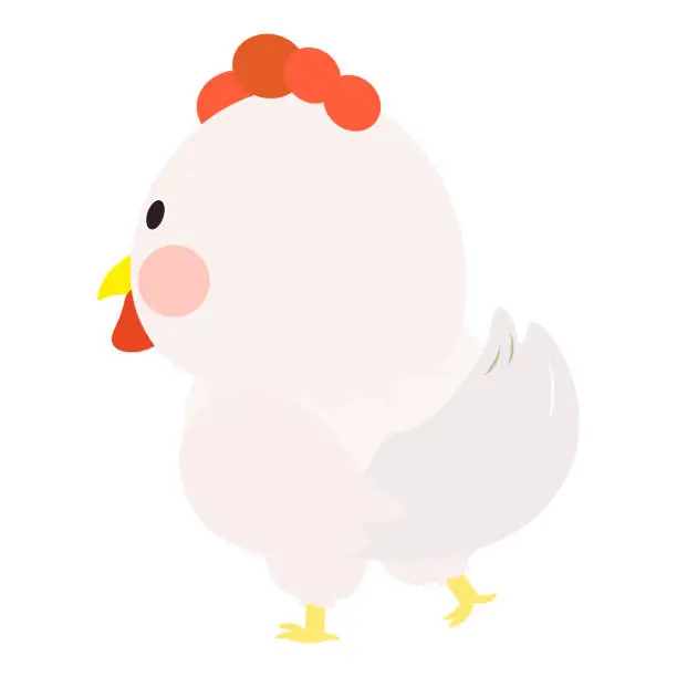 Vector illustration of Cute little white chicken, full body, standing, back view. Isolated on white background, EPS10 vector