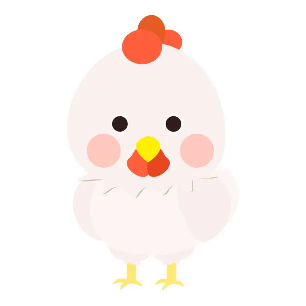 Vector illustration of Cute little white chicken, full body, standing, front face. Isolated on white background, EPS10 vector